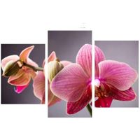 Фото Toplight Модульная картина Toplight 65х99см TL-TM1
